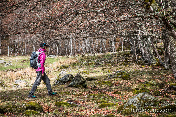 Test veste Columbia Outdry Platinum