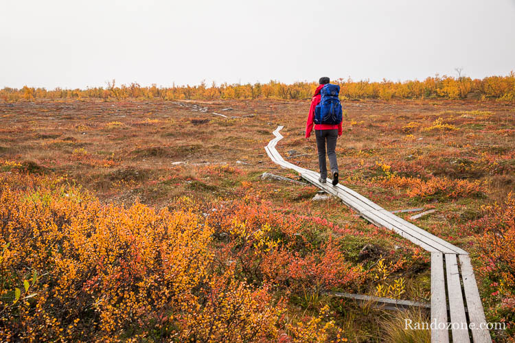 Randonnée dans le parc national d'Abisko en Suède