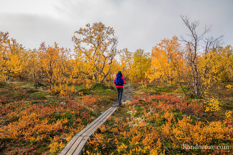 Randonnée au lac Abiskojaure dans le parc d'Abisko