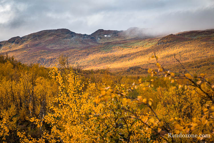 Randonnée au lac Abiskojaure dans le parc d'Abisko