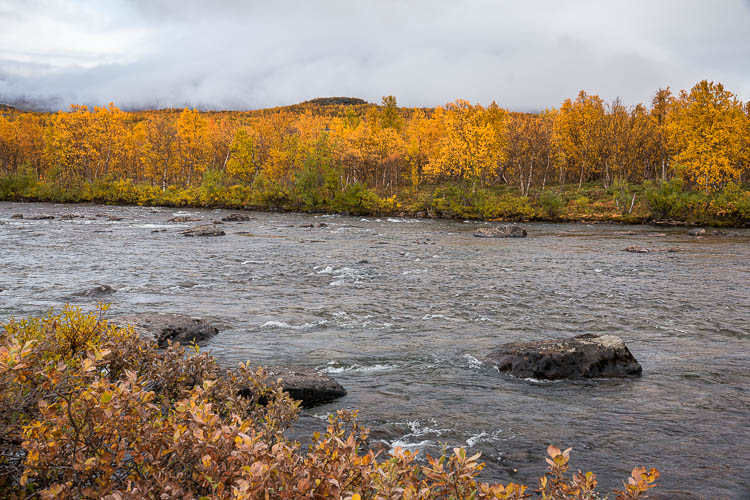 Randonnée au lac Abiskojaure dans le parc d'Abisko