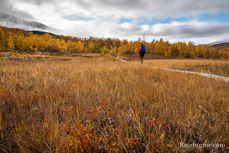 Randonnée au lac Abiskojaure dans le parc d'Abisko