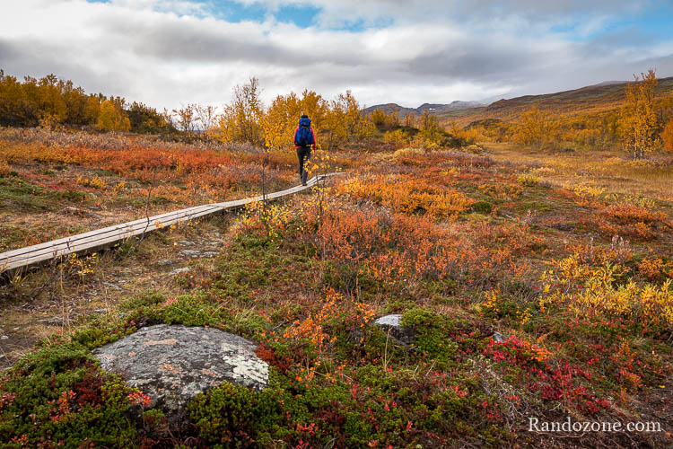 Randonnée au lac Abiskojaure dans le parc d'Abisko