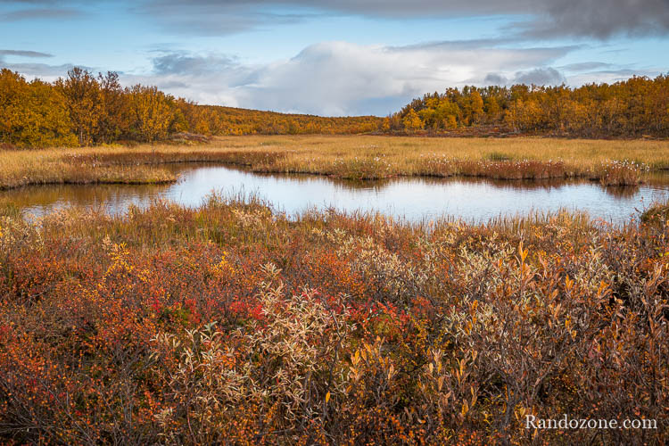 Randonnée au lac Abiskojaure dans le parc d'Abisko