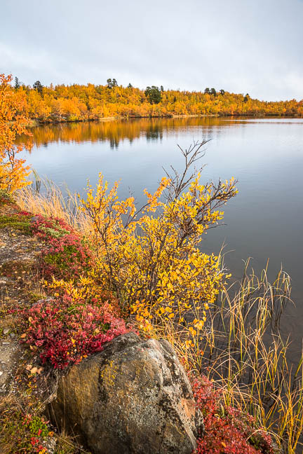 Randonnée au lac Abiskojaure en Suède