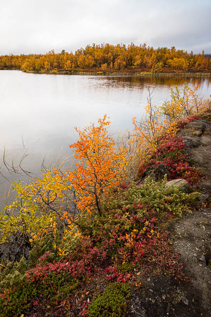 Randonnée au lac Abiskojaure dans le parc d'Abisko