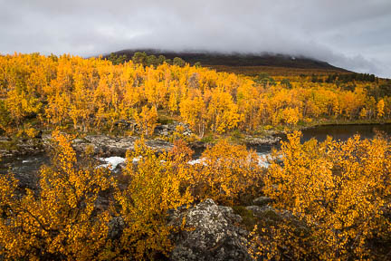 Randonnée au lac Abiskojaure dans le parc d'Abisko
