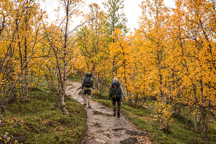 Randonnée au lac Abiskojaure en Suède