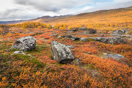 Randonnée au lac Abiskojaure dans le parc d'Abisko