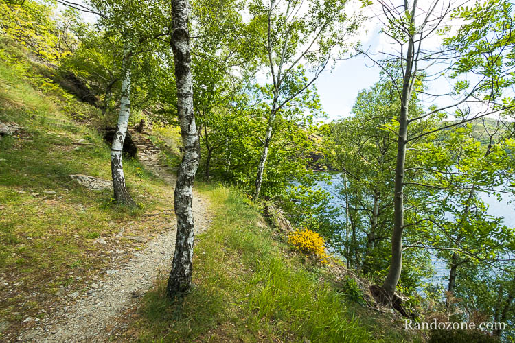 Randonnée : Tour du lac de Villefort