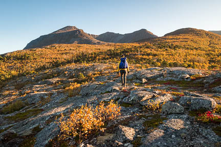 Tracé GPS Randonnée à Sjursviktinden