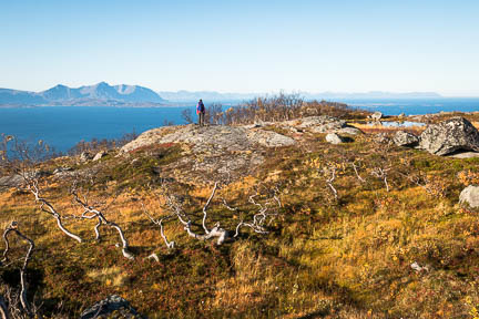 Tracé GPS Randonnée à Sjursviktinden