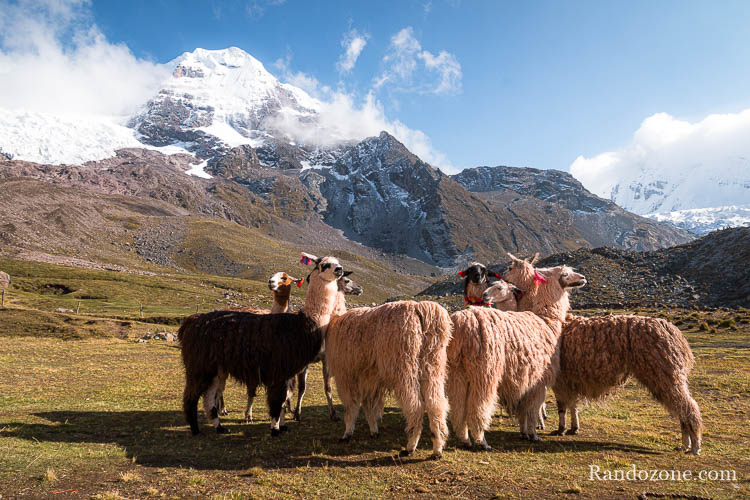 Trek avec Andean Lodges
