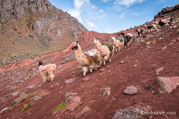 Trek avec Andean Lodges