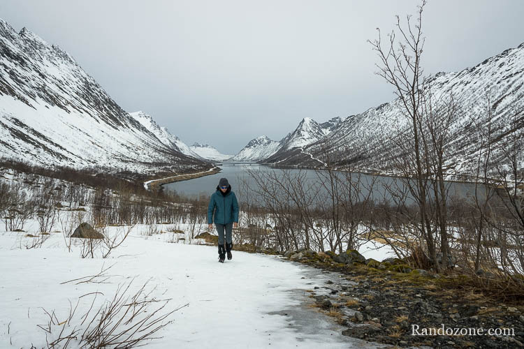Veste Patagonia Micro Puff Storm